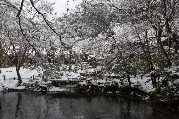 圓光寺_e0051888_444413.jpg