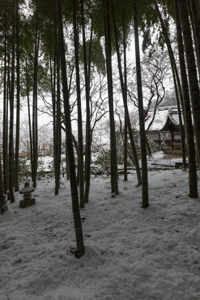 圓光寺_e0051888_445441.jpg