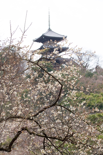 e0305388_10254180.jpg