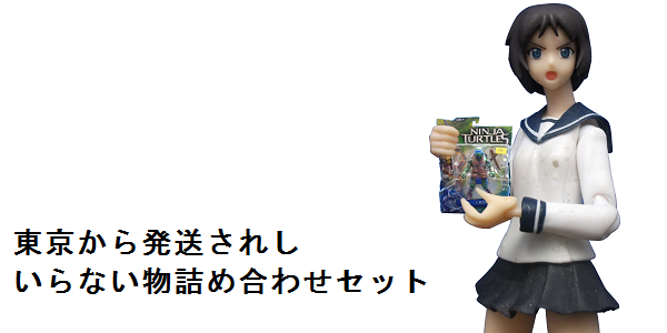 【貰い物レビュー】東京から発送されし『いらない物詰め合わせセット』_f0205396_14414477.png