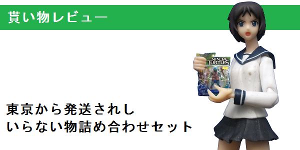 f0205396_1519356.png