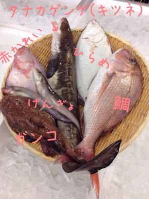 カニ茹でてます!_d0235898_13431532.jpg