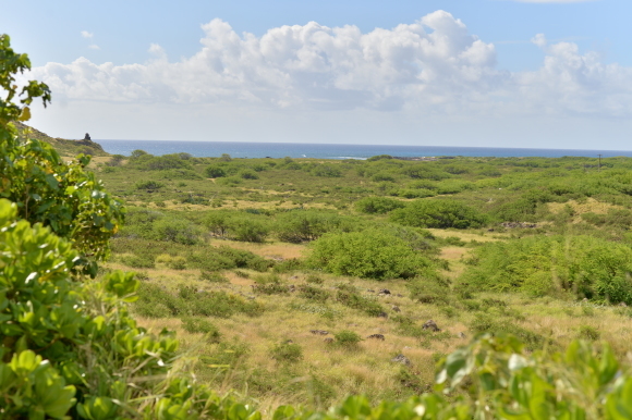 f0174198_12595769.jpg