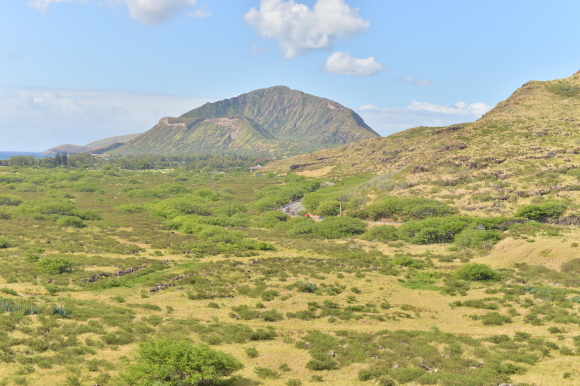 f0174198_13005890.jpg