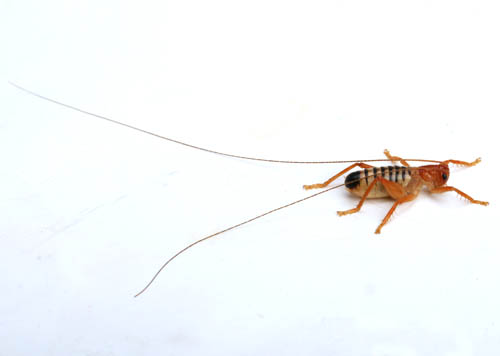 c0165803_13361347.jpg