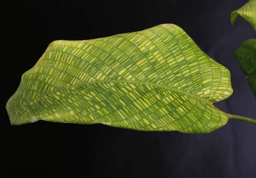 c0165803_17164394.jpg