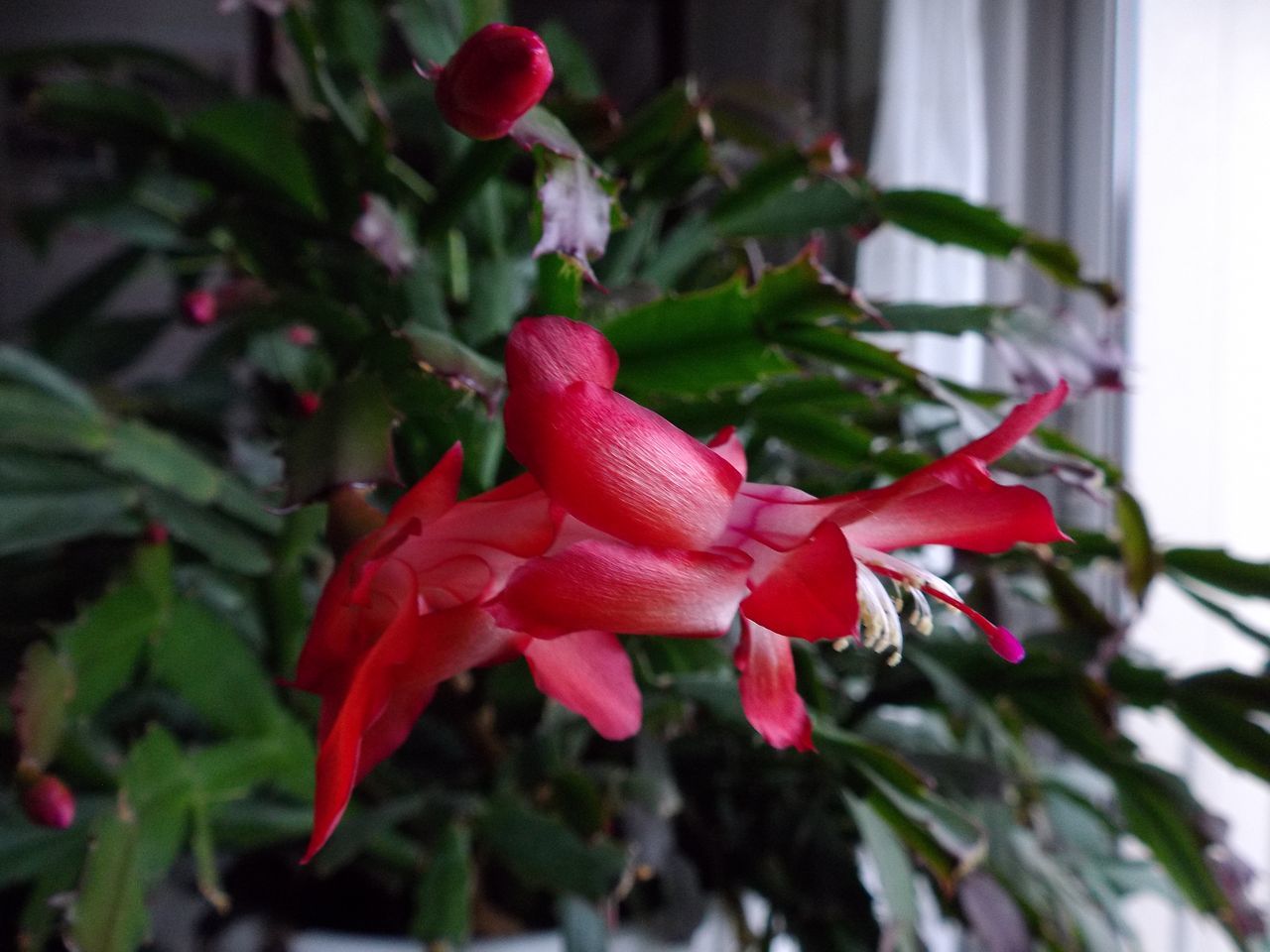 春近し_c0025115_21295721.jpg