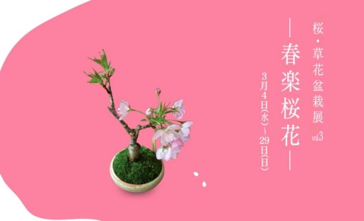 3月になりました_d0263815_16162638.jpg