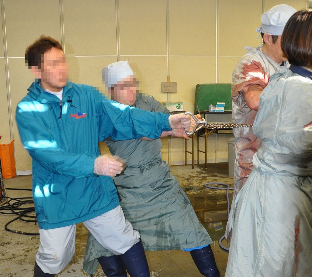 帝王切開手術始まりました その3 北海道中央nosai 宗谷支所 非公式 ブログ