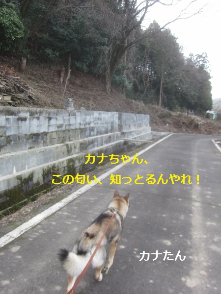 f0143123_1115751.jpg