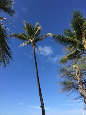 f0215324_11492544.jpg