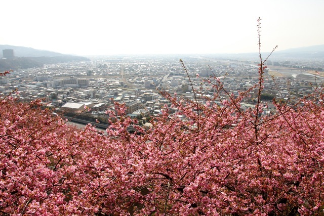 f0348831_13011142.jpg