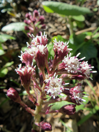 f0234936_874939.jpg