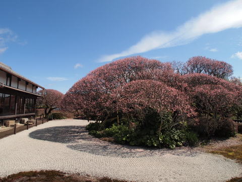 b0199742_21562340.jpg
