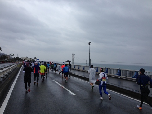静岡マラソン2015_d0160947_23584747.jpg