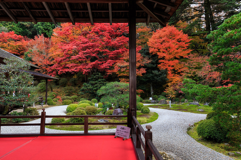 曼珠院・秋景色_f0155048_0314175.jpg