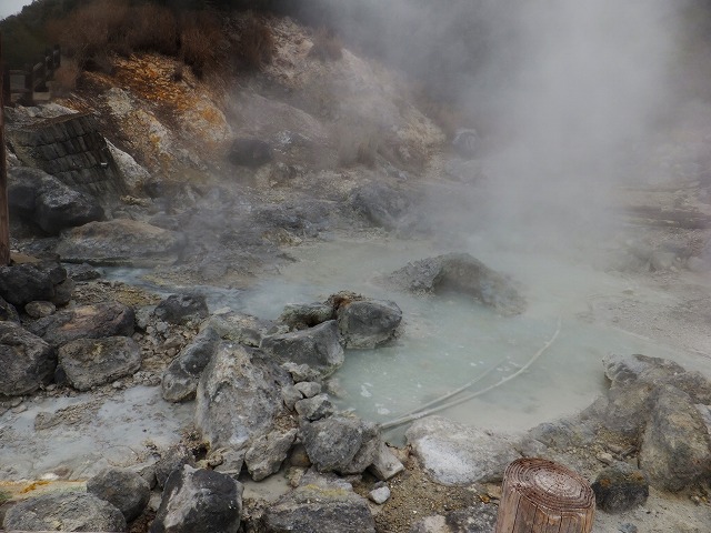 d0048350_16471090.jpg