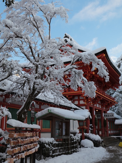 上賀茂神社_e0017051_2215690.jpg