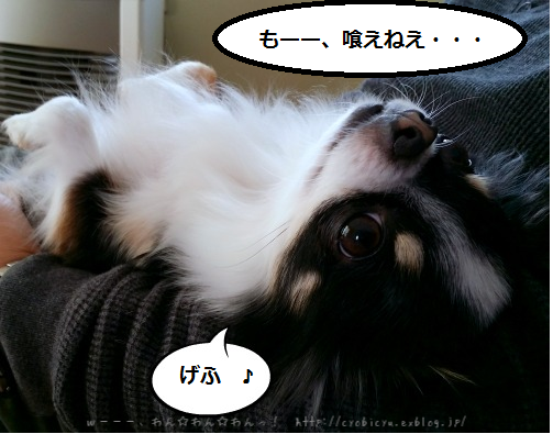 b0112758_1792841.png