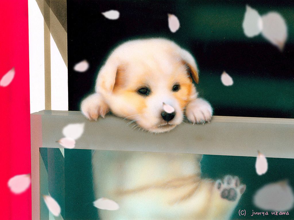 3月のデスクトップピクチャ 壁紙 Junya Blog 猫 犬 リアリズム絵画
