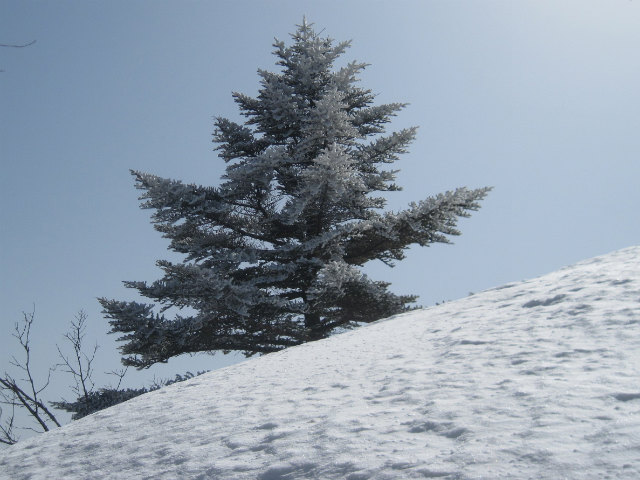 2015.2.28　烏帽子山1670ｍ（北尾根～北東尾根周回）_c0219866_105121.jpg