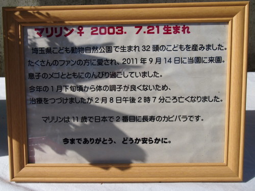 マリリンがいた場所_f0253769_21212800.jpg