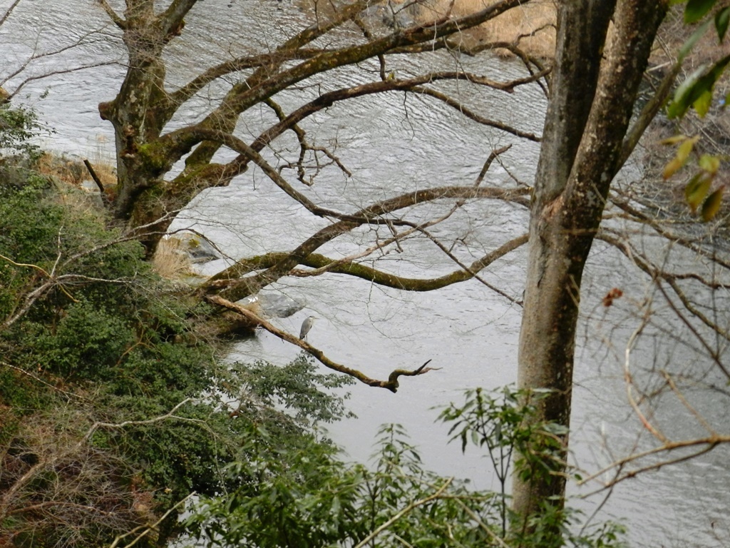 b0311071_20410947.jpg