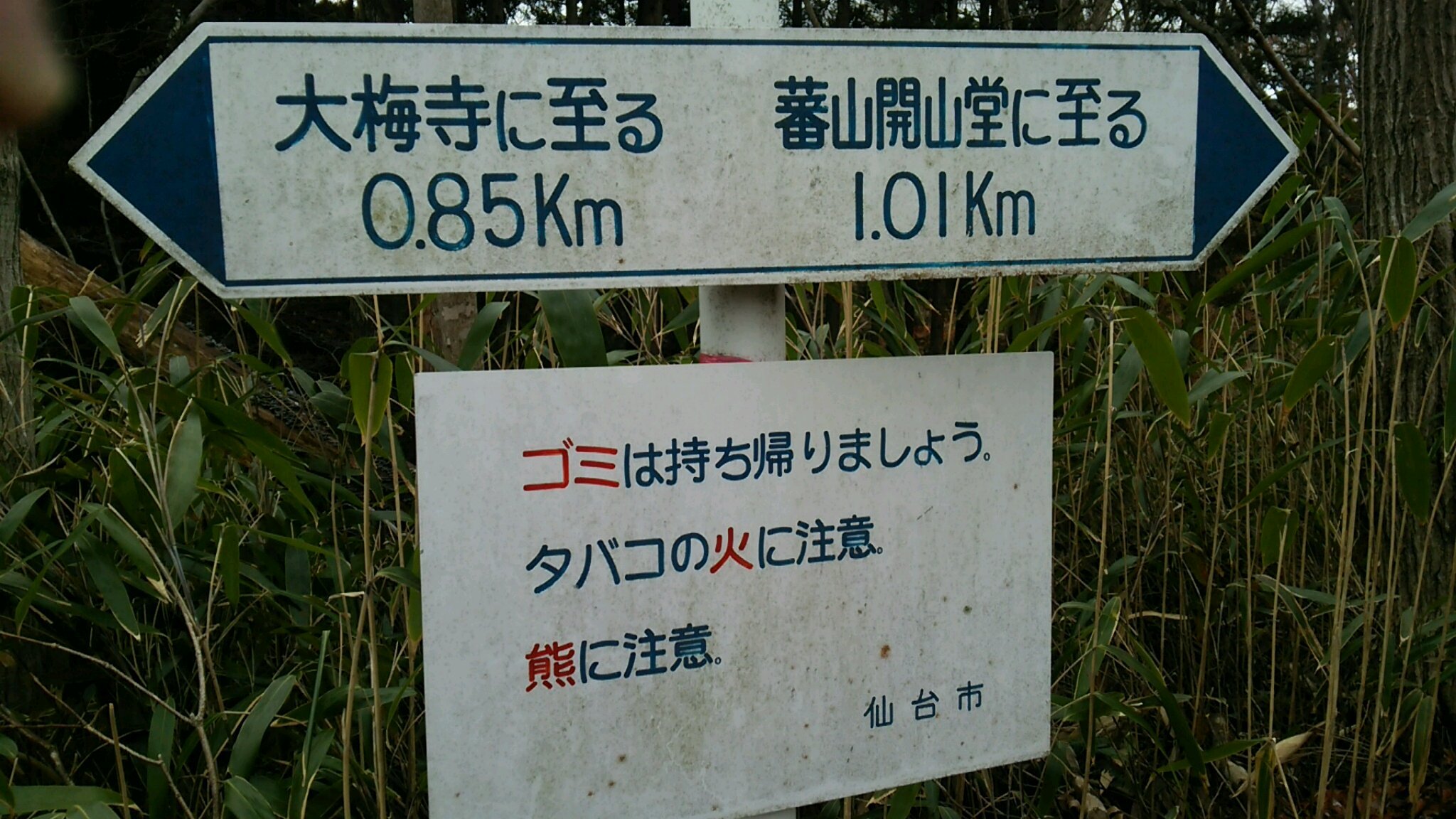 e0109775_06500070.jpeg