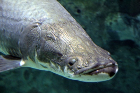 e0154682_16185198.jpg