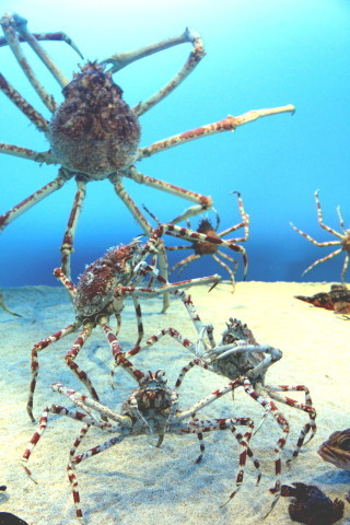e0154682_22223261.jpg
