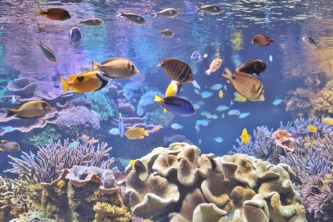 e0154682_22455738.jpg