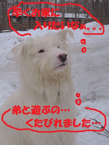野辺山M川さん邸の現場より 15_a0211886_14394362.jpg