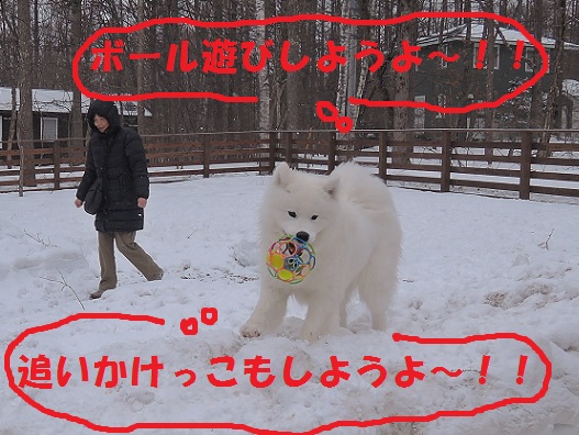 野辺山M川さん邸の現場より 15_a0211886_14481769.jpg