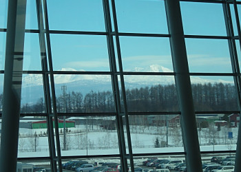 f0078286_10575573.jpg