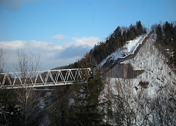f0078286_1101162.jpg