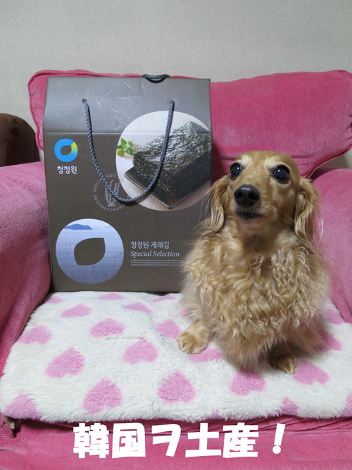 いつの間にか3月・・・_b0200291_20293963.jpg