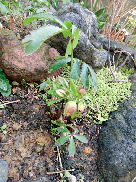 e0131399_23275297.jpg