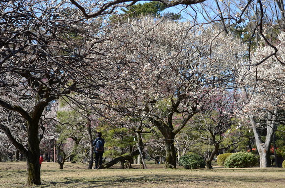 a0288500_2043686.jpg