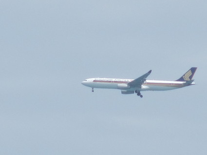 c0212604_6555933.jpg