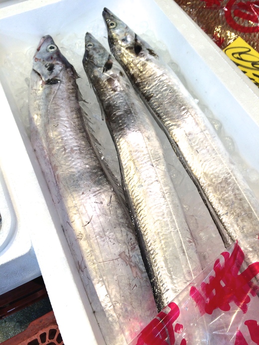 近海の魚_c0130206_1895391.jpg