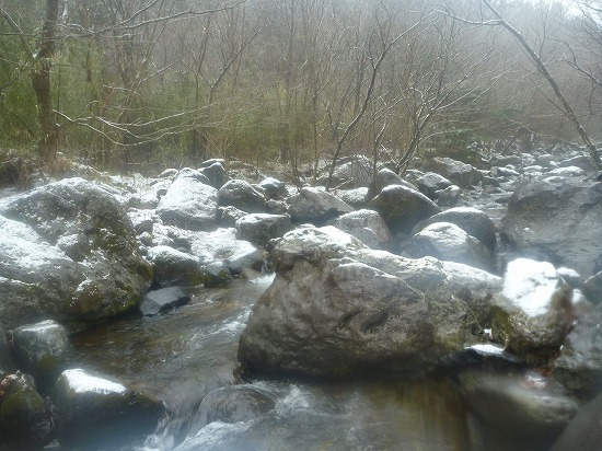 d0227723_22462478.jpg