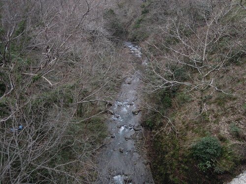 e0147226_17331922.jpg