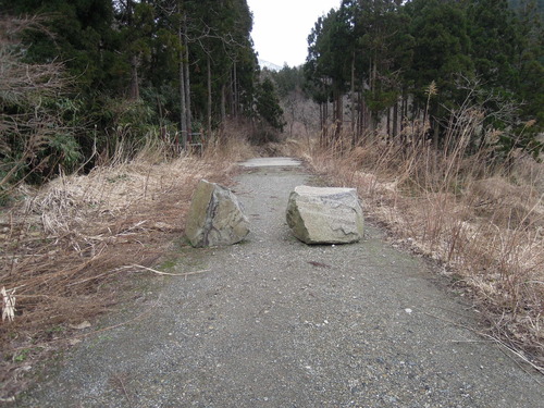 e0147226_1734188.jpg
