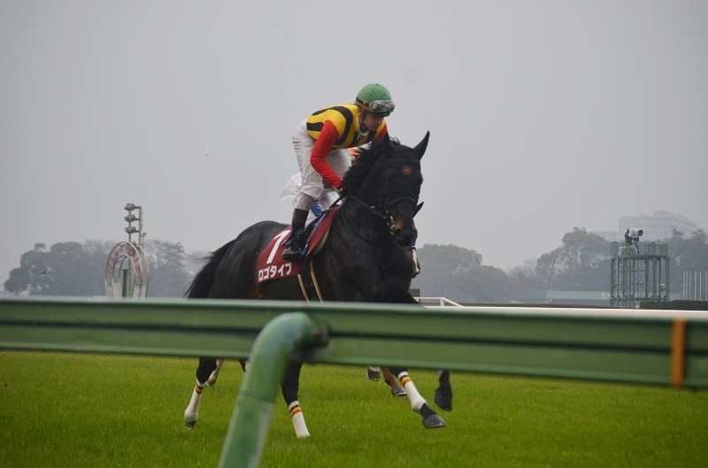 Nakayama Kinen (G2) 2015/3/1_d0128536_8563324.jpg