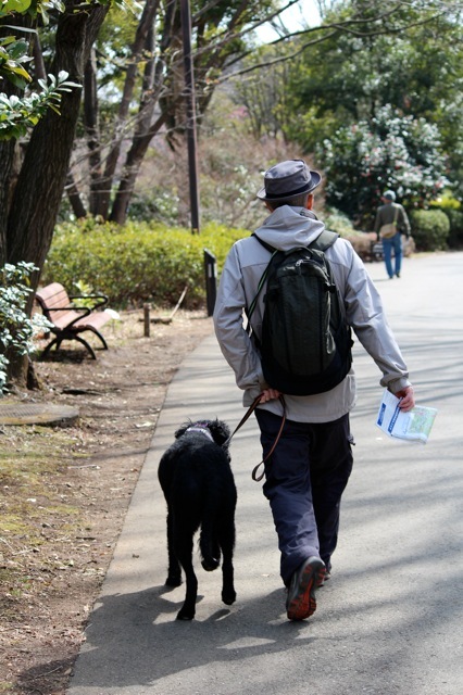 国営 昭和記念公園 その１♪_f0326141_20465624.jpg