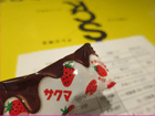 a0019747_450139.gif