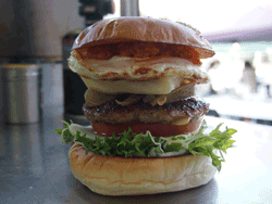 f0229451_824682.gif