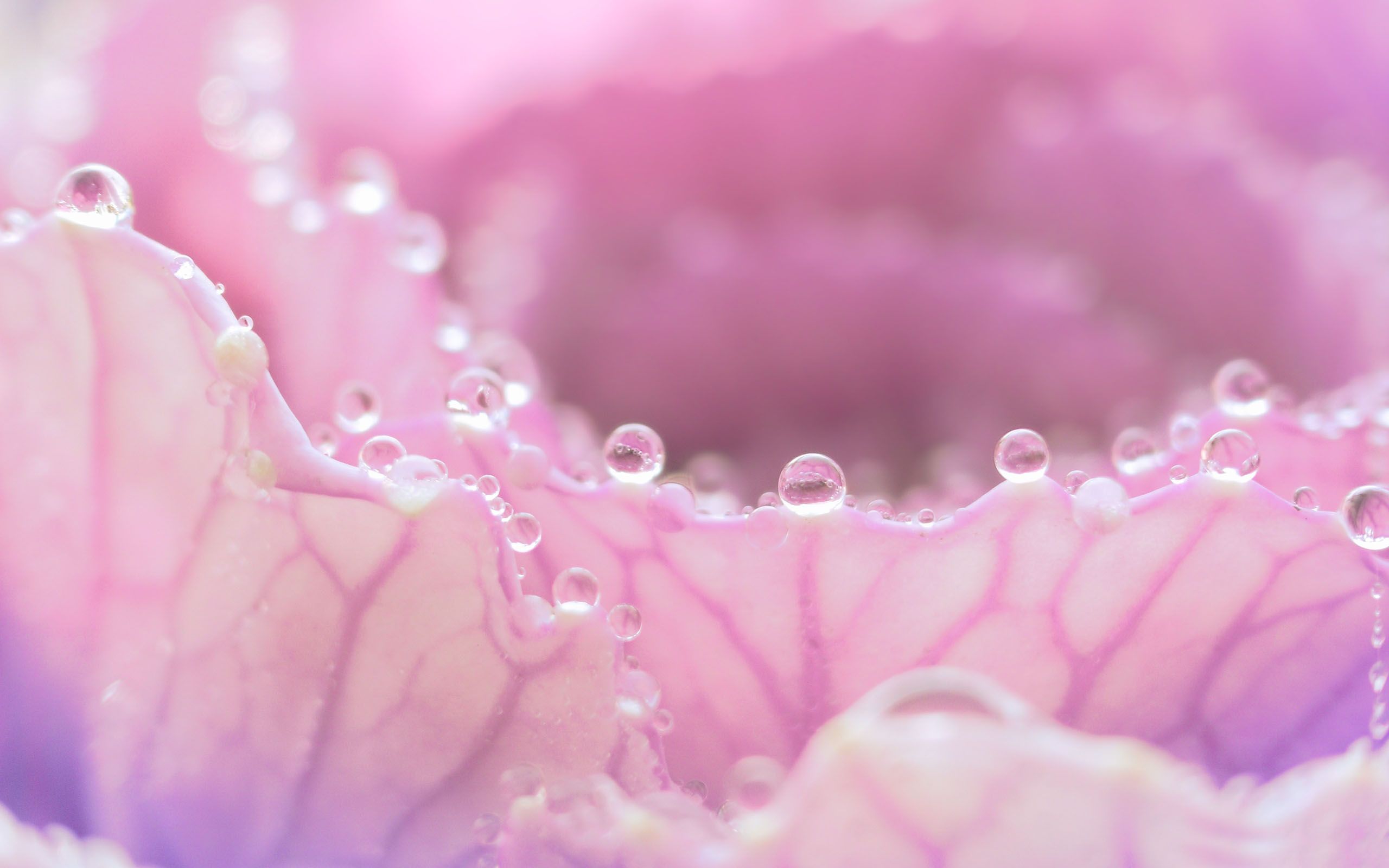 Aubadeのこと_e0219353_1652010.jpg