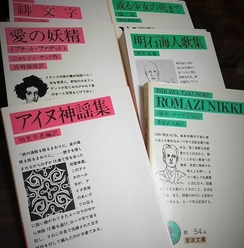 4日放送NHK「おはよう日本」インタビュー／岡崎京子展図録に詩を寄稿／21日ドバイ朗読会_d0101676_21103628.jpg