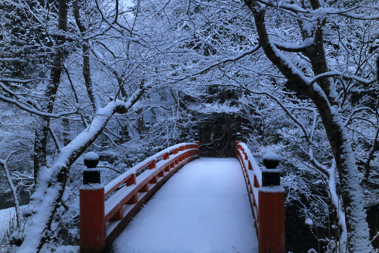 西明寺_e0051888_5552974.jpg